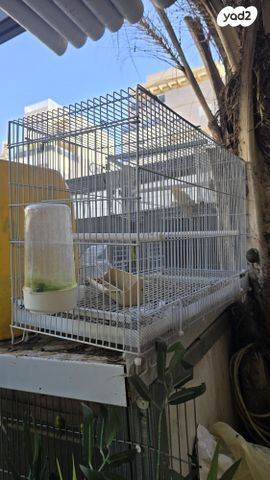 אביזרים | כלוב