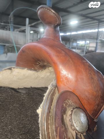 אביזרים | אוכף