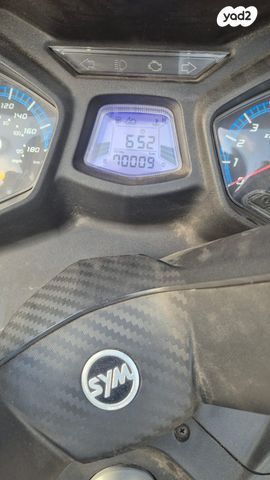 סאן יאנג ג'וי-מקס Z-250