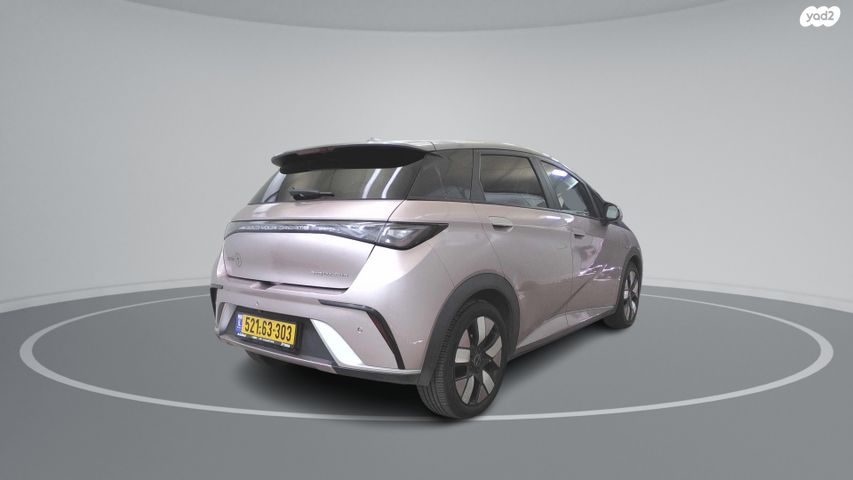 בי.ווי.די דולפין