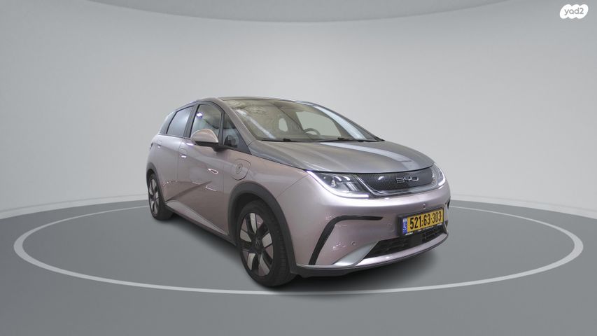 בי.ווי.די דולפין