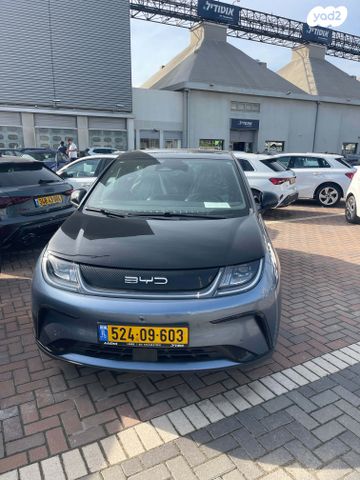 מודעת רכב בי.ווי.די דולפין