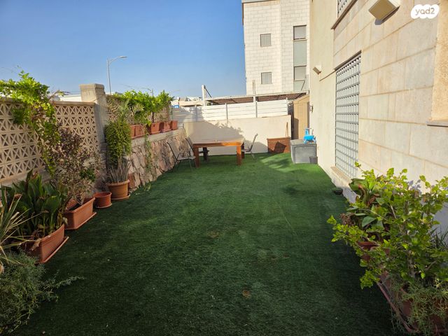 סירה קוצנית 2