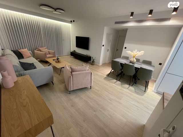 אריה בראון 18