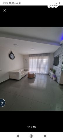 שייקה אופיר 4