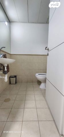 דירה, המרווה 3, צמח השדה, מעלה אדומים