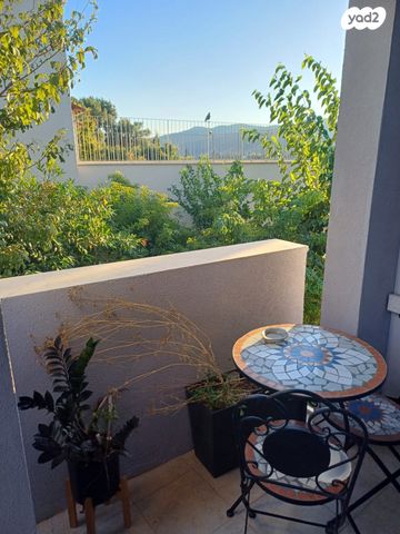 יהושע חנקין 13