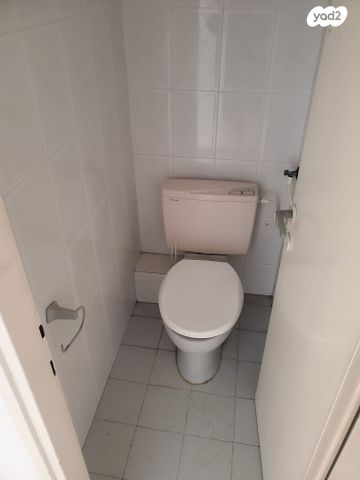 שבטי ישראל 45