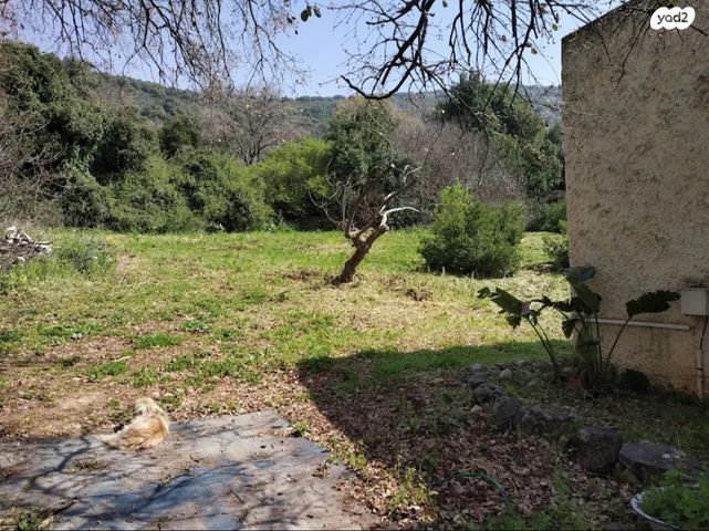 יחידת דיור, האורנים 1, אמירים, אמירים