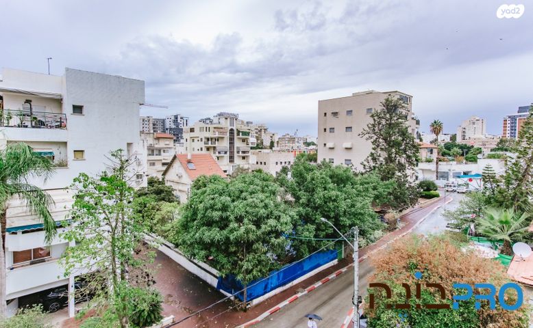 דירה, המלכים, ד' / מערב מרכז העיר, רחובות