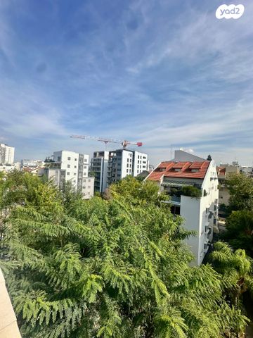 גג/ פנטהאוז, טרומפלדור, פועלים ד, כפר סבא