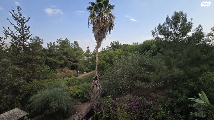 דירה, כרמיאל