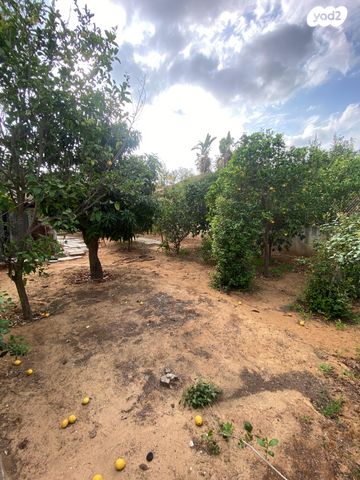 דו משפחתי, רחבעם זאבי, מרכז מזרחי, נס ציונה