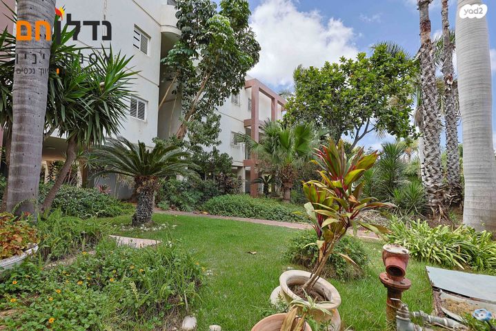 דירה, גולן, רמת השרון