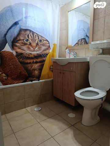 דירה, הסנה, אפרידר, אשקלון