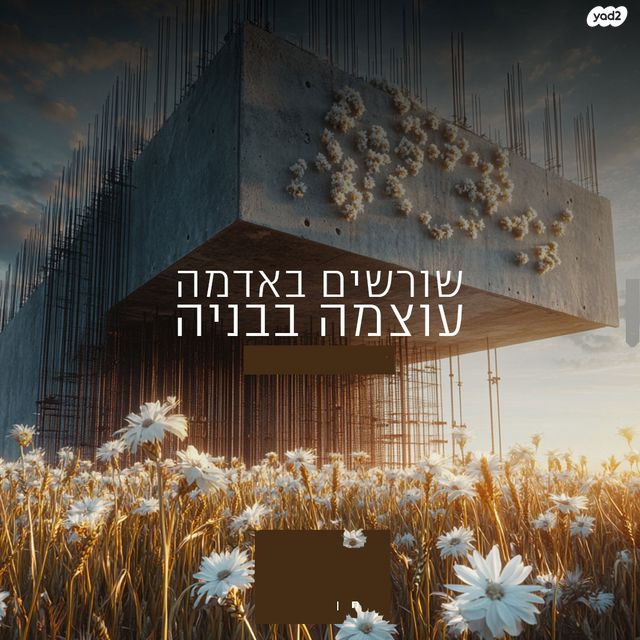 דירה, עפולה