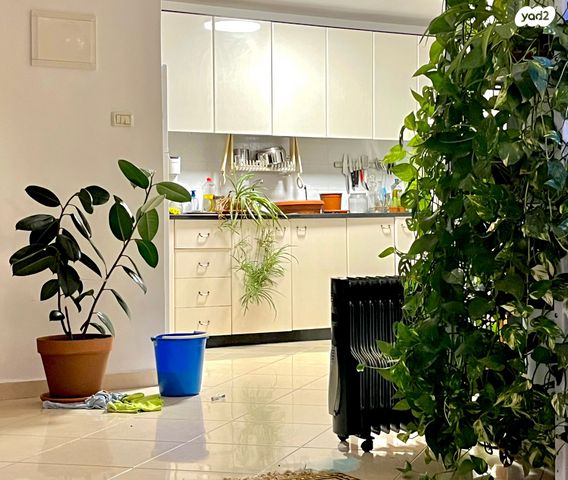 דירה, פיקוס, נווה גולן, יפו ג', תל אביב יפו