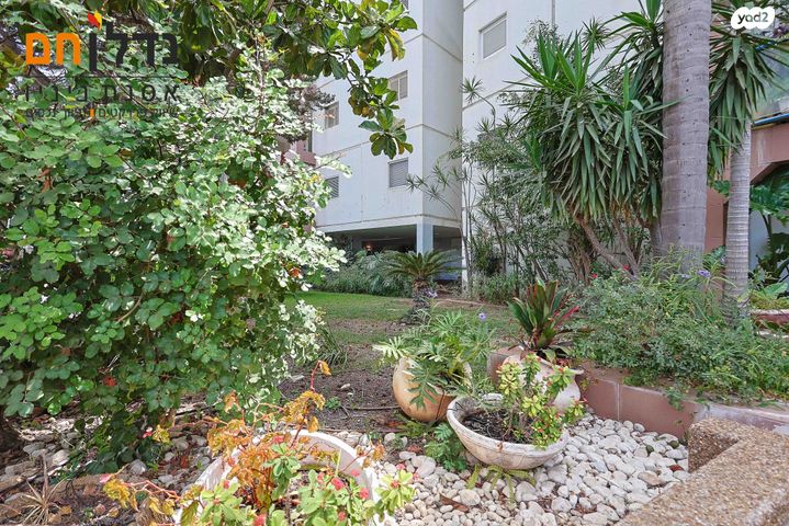 דירה, גולן, רמת השרון