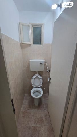 דירה, האלה, כהן, טירת כרמל