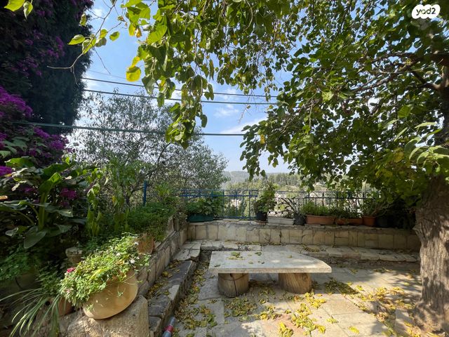 גבעת היונים 