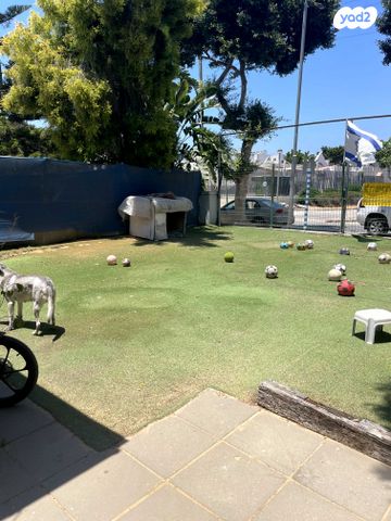 דו משפחתי, מבצע משה, נווה דקלים, אשקלון