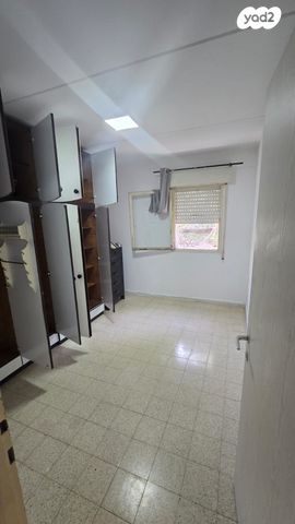 דירה, האלה, כהן, טירת כרמל