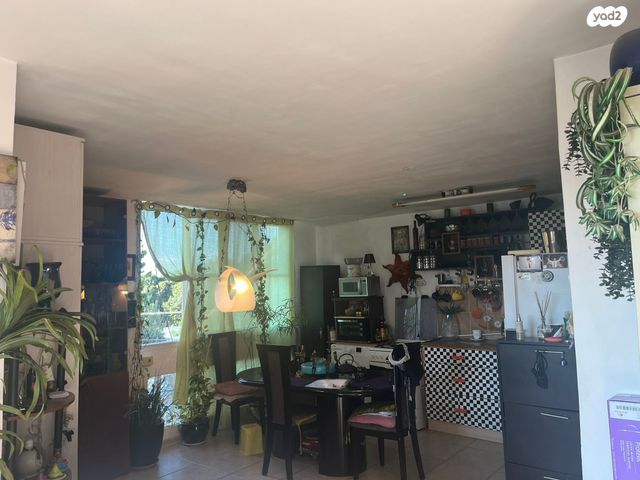 יצחק בן צבי 