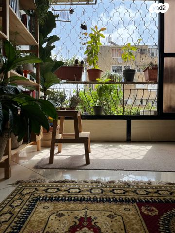 דירה, פיקוס, נווה גולן, יפו ג', תל אביב יפו