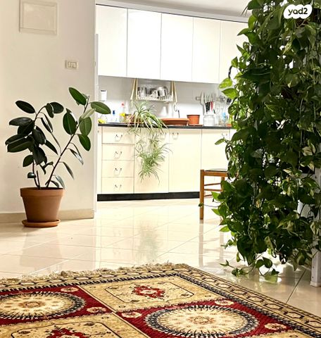 דירה, פיקוס, נווה גולן, יפו ג', תל אביב יפו