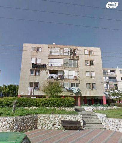 נווה אלונים