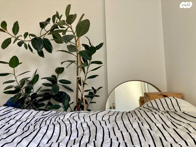 דירה, פיקוס, נווה גולן, יפו ג', תל אביב יפו