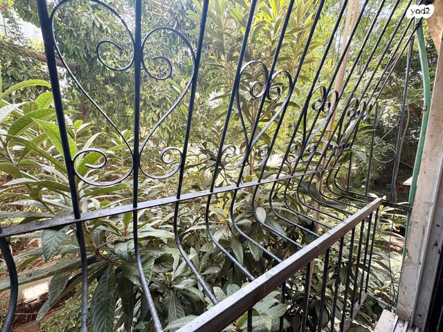 דירה, בזל, הצפון הישן - צפון, תל אביב יפו