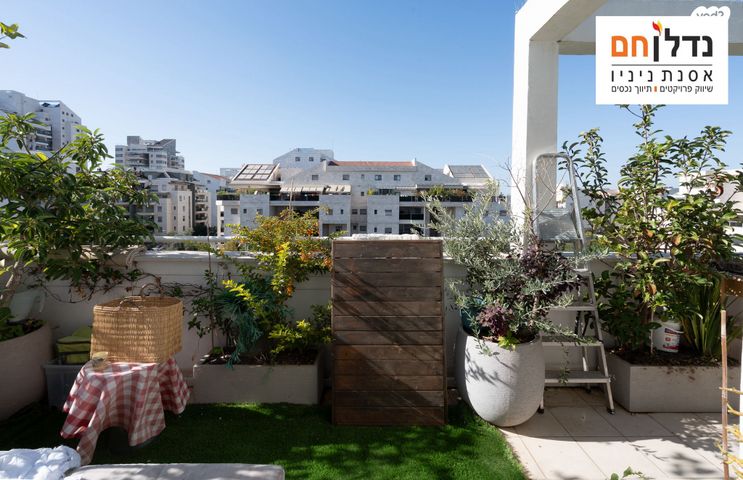 דירה, כפר סבא