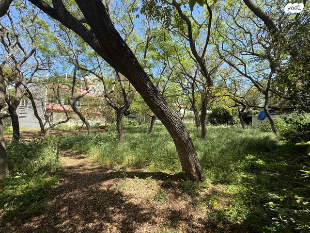 דירה, כפר יונה, רמת אביב, תל אביב יפו