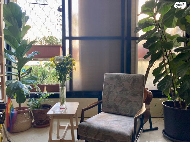 דירה, פיקוס, נווה גולן, יפו ג', תל אביב יפו