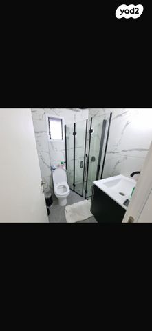 אלכסנדר ינאי 