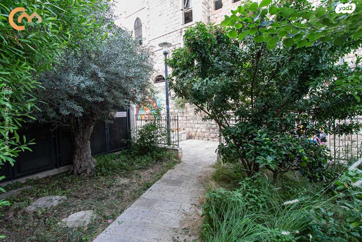 גג/ פנטהאוז, ארבד, העיר התחתית, ואדי סאליב, חיפה