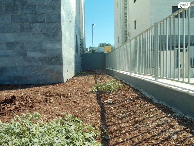 דירת גן, יצחק שמיר, עפולה הצעירה, עפולה