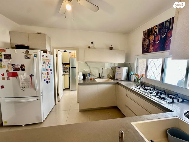 גג/ פנטהאוז, טרומפלדור, פועלים ד, כפר סבא