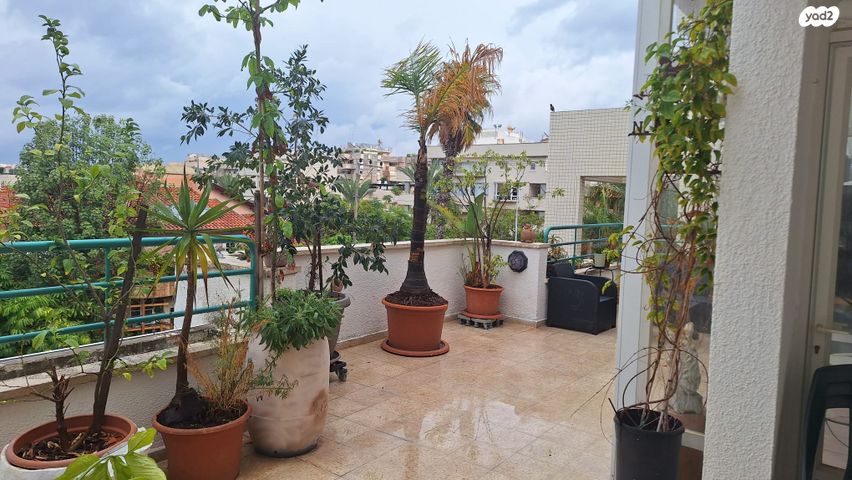 דופלקס, וינגייט, שיכון אשר, רעננה