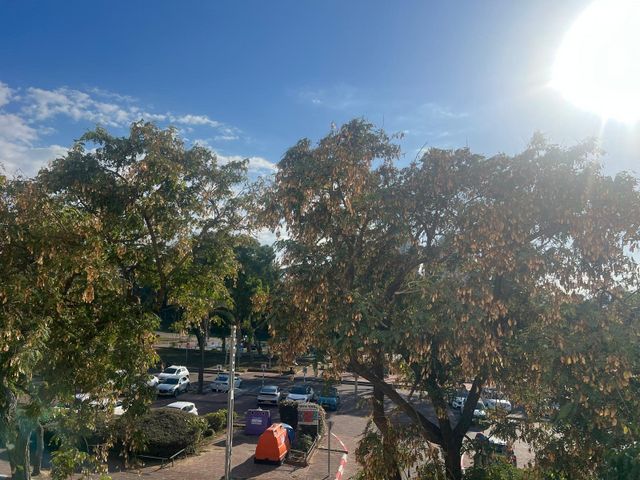 דירה, מקס נורדאו 14, רובע א', אשדוד