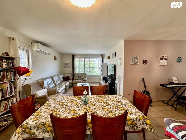 גג/ פנטהאוז, טרומפלדור, פועלים ד, כפר סבא