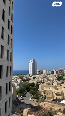 אמנון ליפקין שחק 3