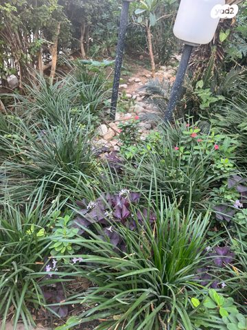 דירה, הרב הרצוג, בבלי, תל אביב יפו