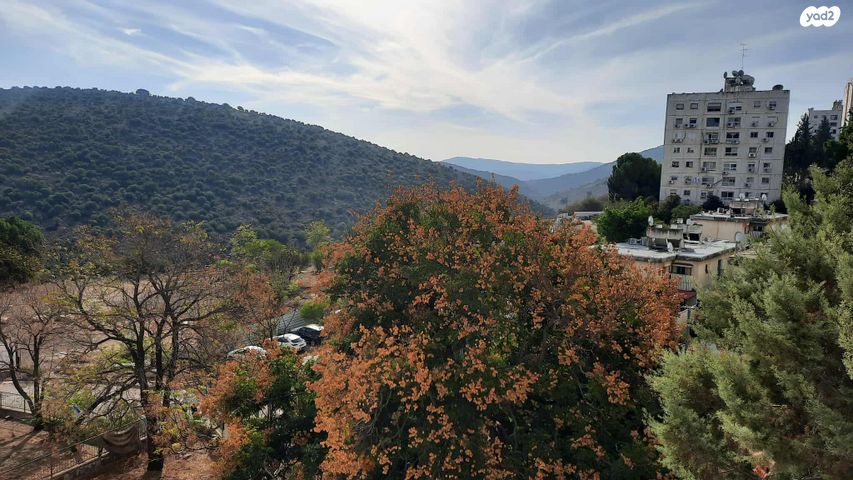 מורד הגיא 11