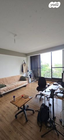 מקווה ישראל 