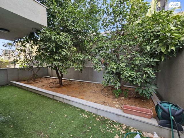 יציאת אירופה 17