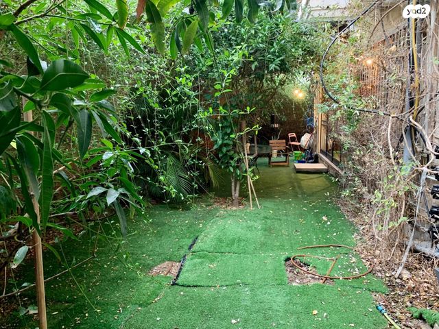 דירת גן, הצפון הישן - צפון, תל אביב יפו