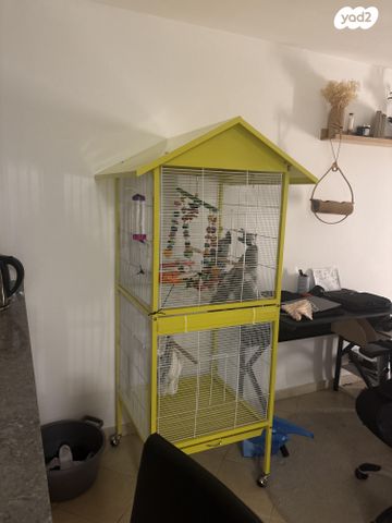 תמונת מודעה - חיות מחמד