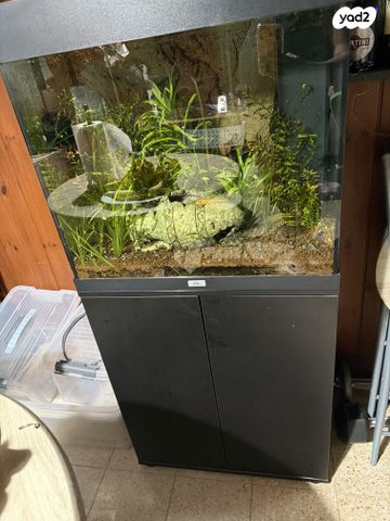 תמונת מודעה - חיות מחמד